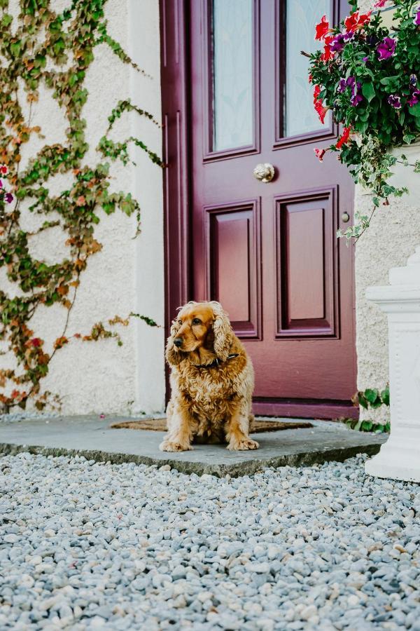 Abbeyshrule Abbeyview House Bed & Breakfast エクステリア 写真