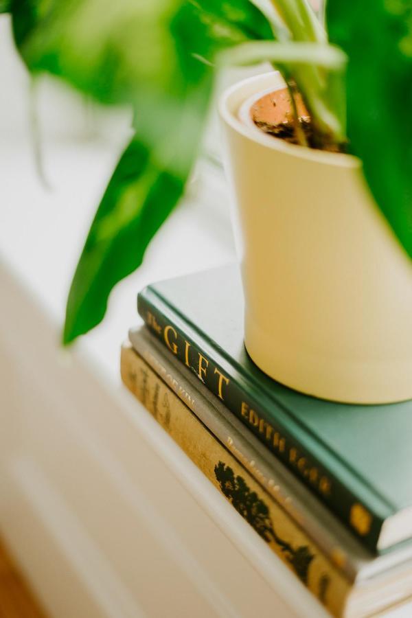 Abbeyshrule Abbeyview House Bed & Breakfast エクステリア 写真