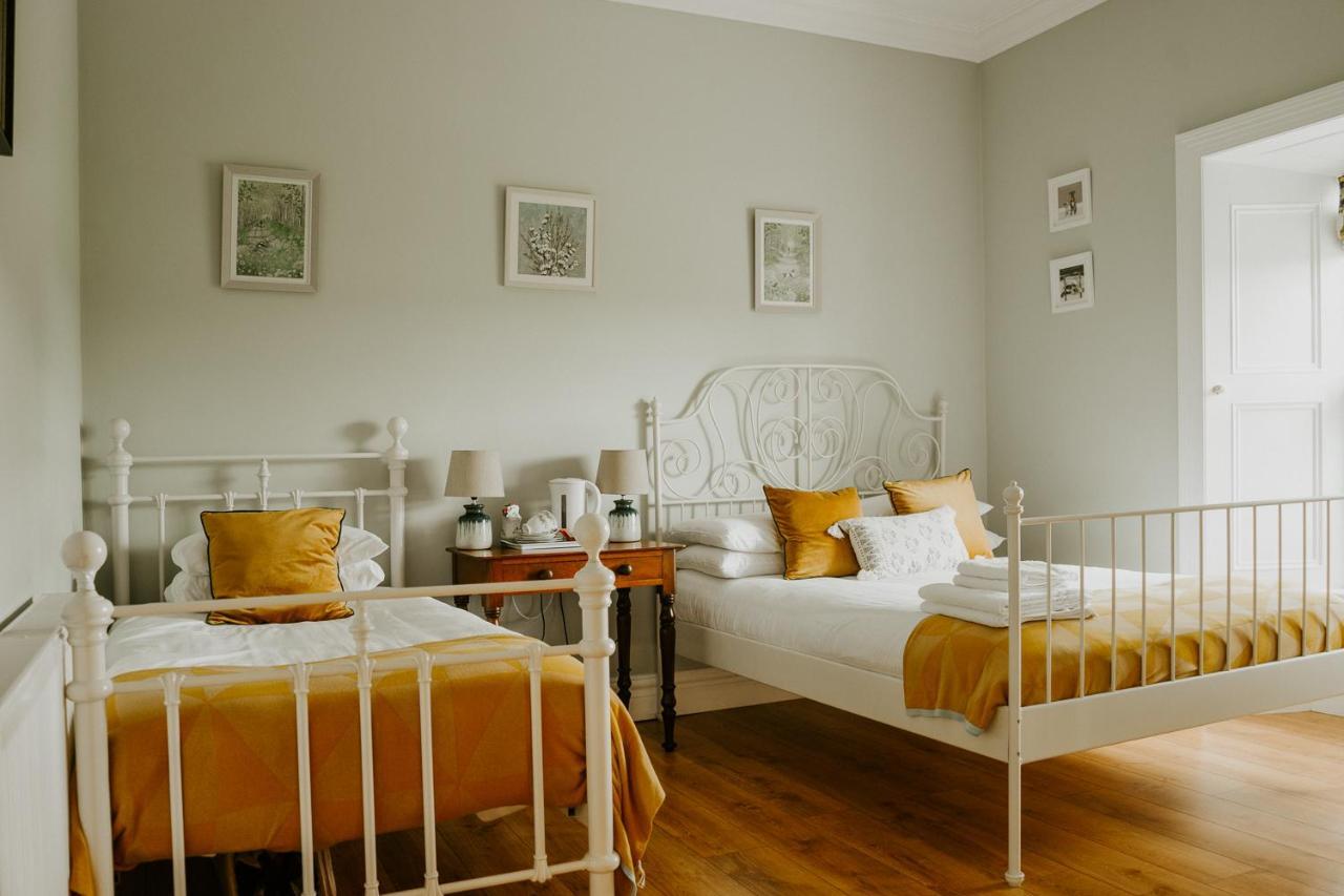 Abbeyshrule Abbeyview House Bed & Breakfast エクステリア 写真