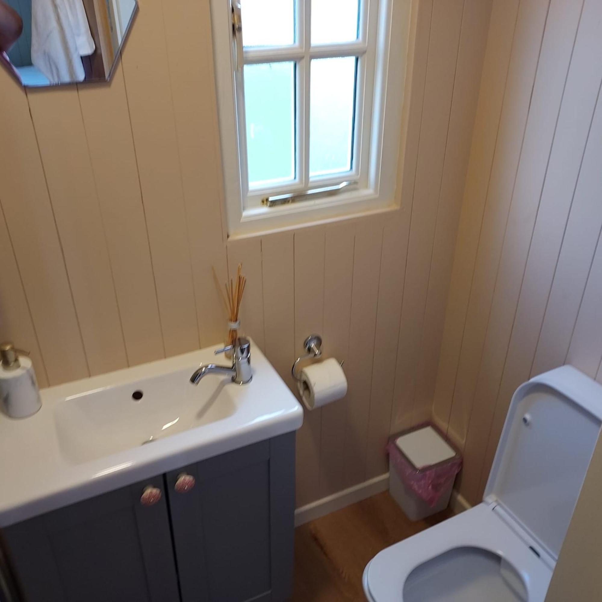 Abbeyshrule Abbeyview House Bed & Breakfast エクステリア 写真