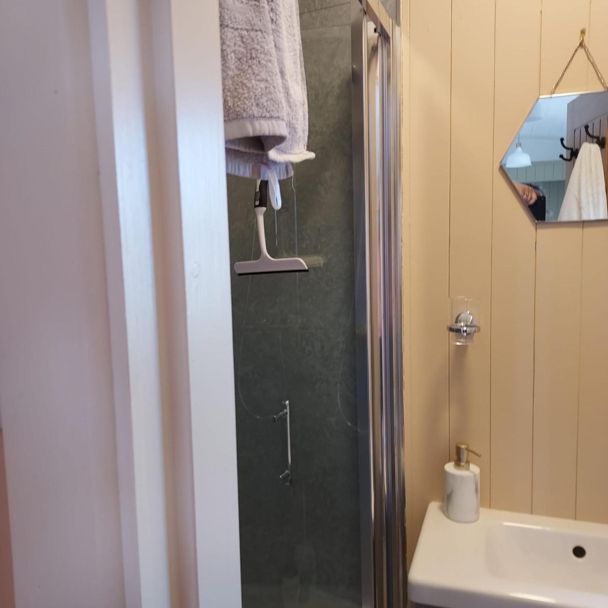 Abbeyshrule Abbeyview House Bed & Breakfast エクステリア 写真